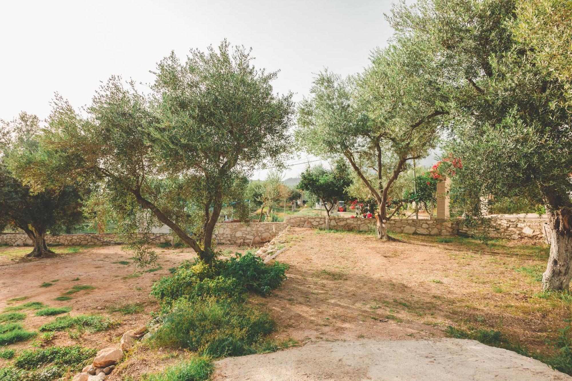 Olive Camping ヒマラ エクステリア 写真