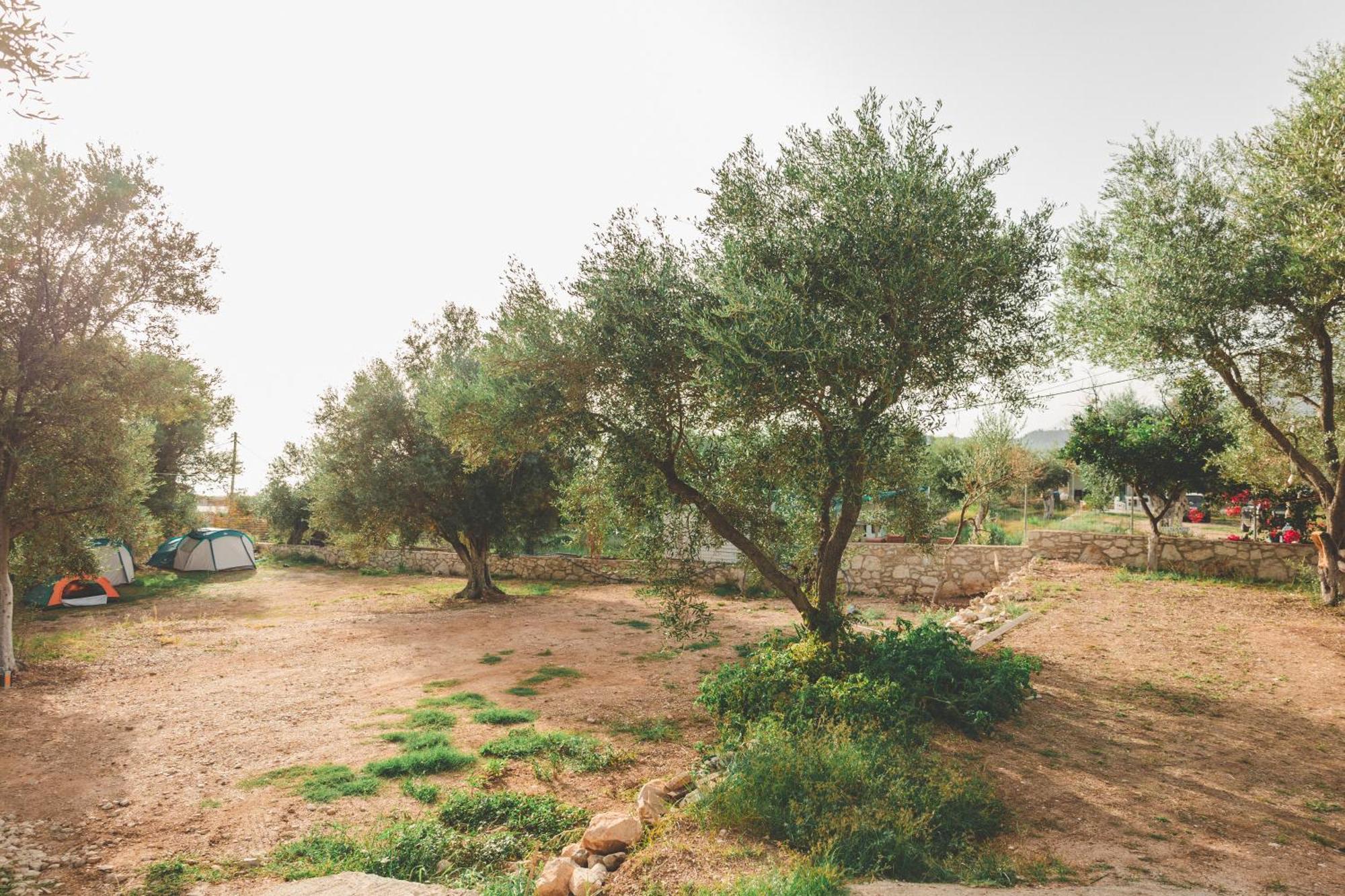 Olive Camping ヒマラ エクステリア 写真